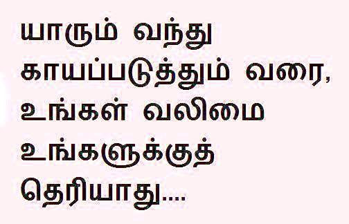 பூப்போல மனதுக்கு சஞ்சலமில்லை..! (தொடர் பதிவு) 481372_547069785323790_875600045_n