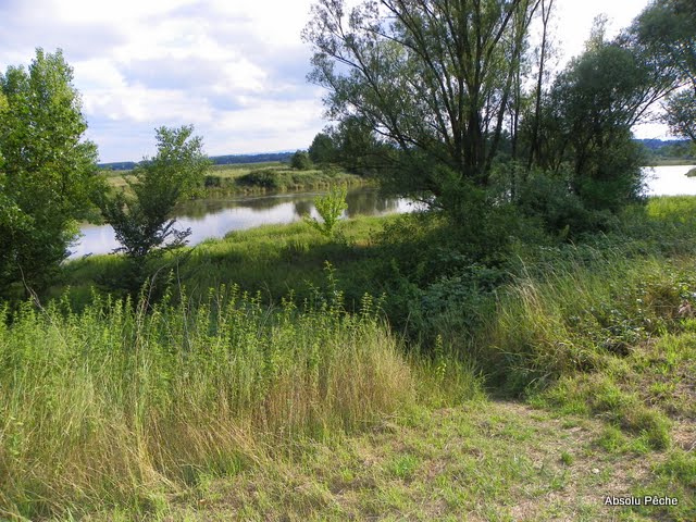 Enfin une bonne pêche en fleuve ! (épisode 2) 101_7877