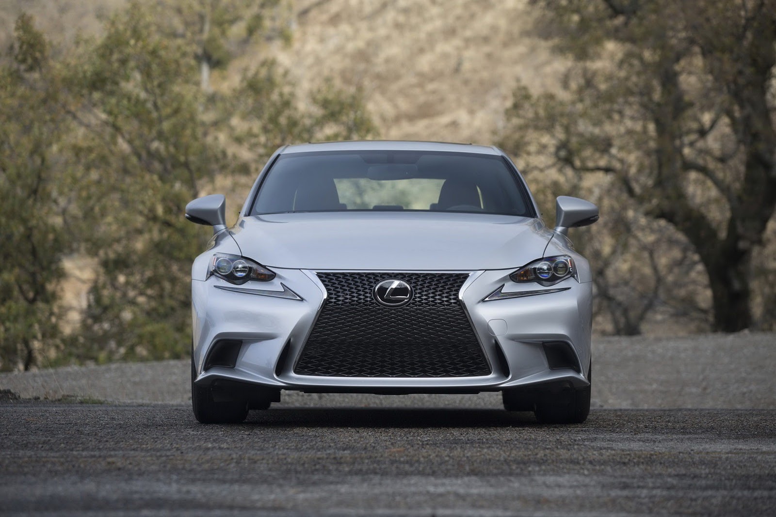 2013 - [Lexus] IS - Page 4 2014-Lexus-IS-Sedan-33%25255B2%25255D