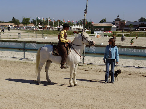 Mondial TREC 2008 - quitation de travail chevaux camargues 20-21-sept_08%20283