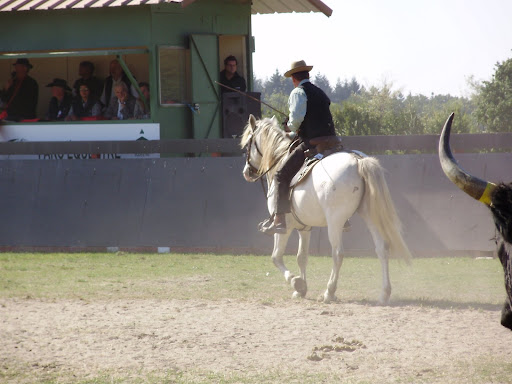 Mondial TREC 2008 - quitation de travail chevaux camargues 20-21-sept_08%20292