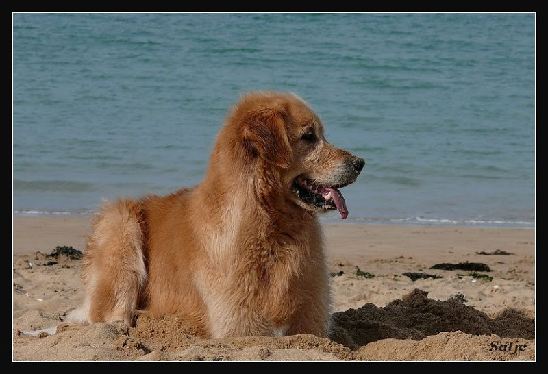 Vicky à Oleron (MAJ le 15/08/2008) P1020851