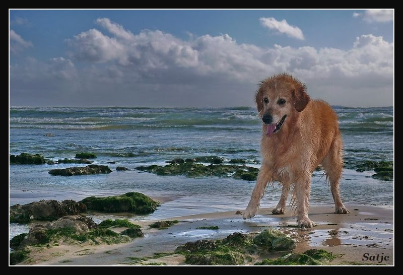 Vicky à Oleron (MAJ le 15/08/2008) P1040499