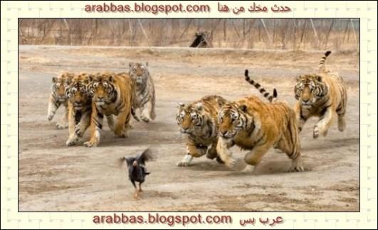 صور غريبة وعجيبة جدااااا  3 أجزاء 4162c84ef3