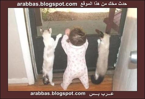 أعجب وأغرب الصور ( مجموعة 5 ) 48_PetsKids_2007