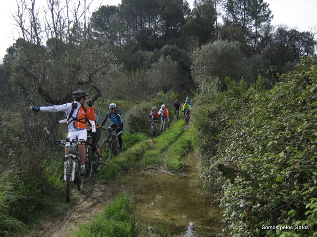 VIII BNO NACIONAL DOS CICLISTAS EM FTIMA 28 DE MARO DE 2010/ Entroncamento Fatima Entroncamento IMG_1368