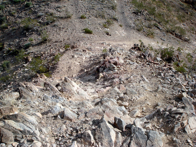 Birthday Riding at Bootleg Canyon DSC00666