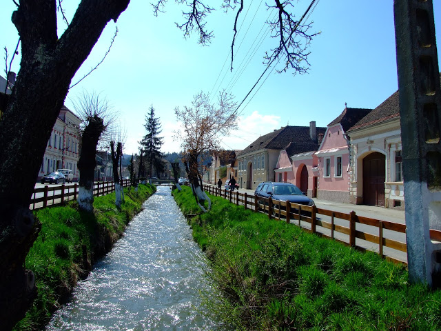 Turism cu bicicleta Tara%20Birsei%20(107)