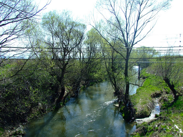 Turism cu bicicleta Tara%20Birsei%20(129)