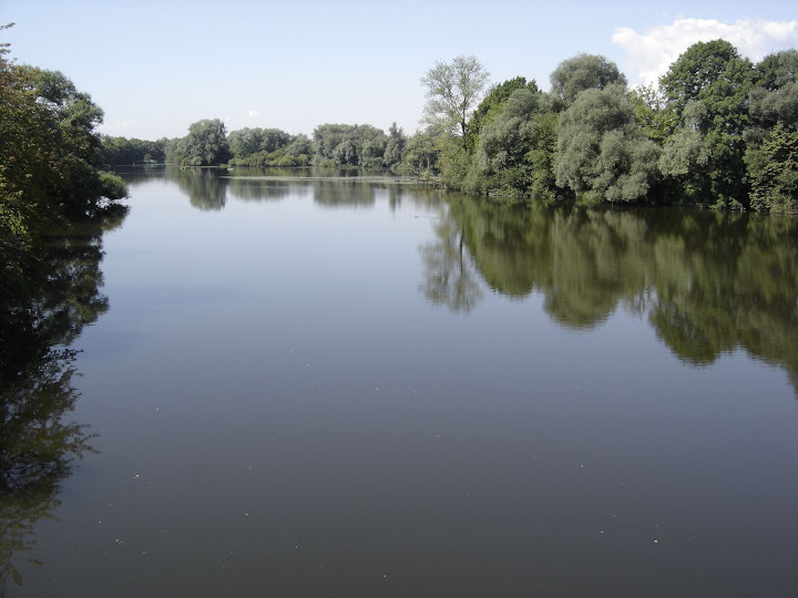 Danubio Aleman DSC05999