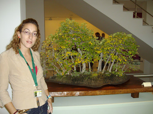 XX CONGRESO NACIONAL DE BONSAI, BENALMADENA 2007 IMGP0751