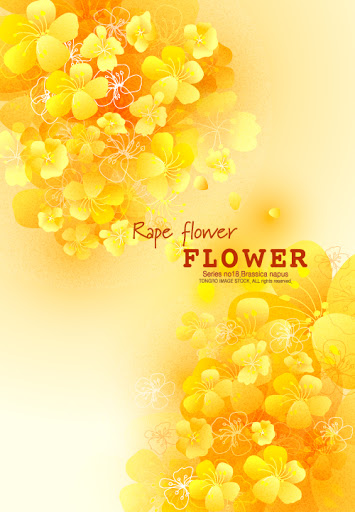 Fashion Color Background EPS | JPEG Preview | 8.2 MB [MF] [HF] [RS] [MU] [FS] [FSn] [UL] Rape.Flower.Background-aiovector.com