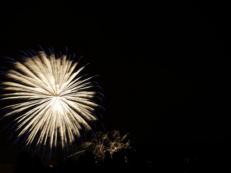 Feux d' artifice P1000743