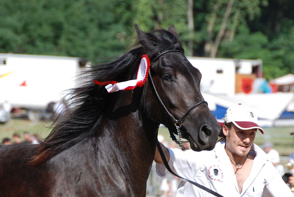 Ti'am du Grand Bosc Bouan2009%20%28122%29