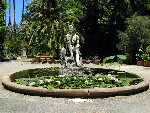 "Мъжа с лилиите" OrtoBotanico%20056