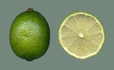 اسماء وصور اشجار الفاكهه Citrus%20latifolia