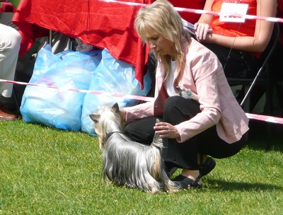 Szczecin Internatonal Dog Show -Poland P1060305e