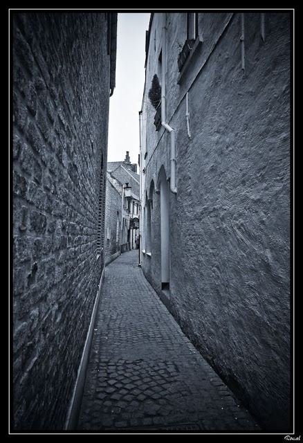 Ruelle _DSC5568-2