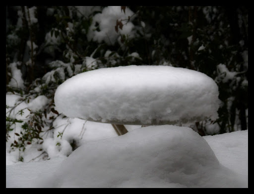 tombe la neige ...(MAJ) P1170863