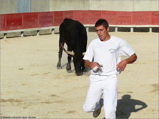 tradition camarguaise (rajouts du 9/11/09) P1110185