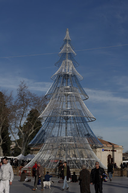 une sortie sur Montpellier le 22 janvier 2011 ??? IMGP3534%20copie