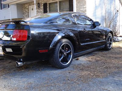 **Stang of the Month - May '09 ** dmartin DSC00705