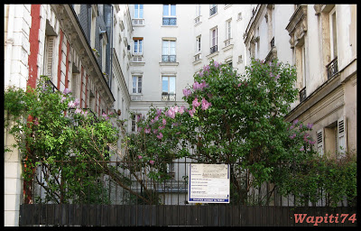 Une semaine printannière à Paris Dulac2