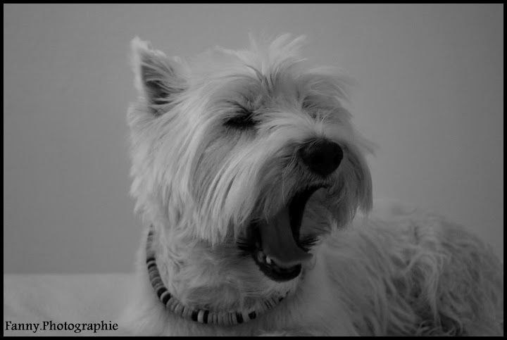 Shooting photo , à l'intérieur R2