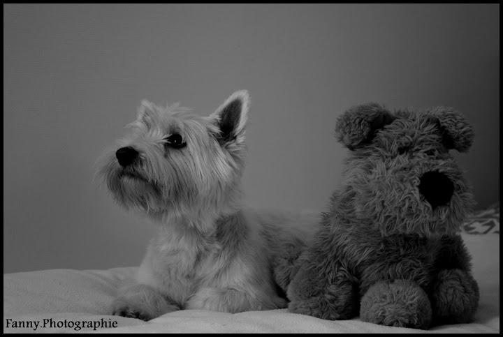 Shooting photo , à l'intérieur R4