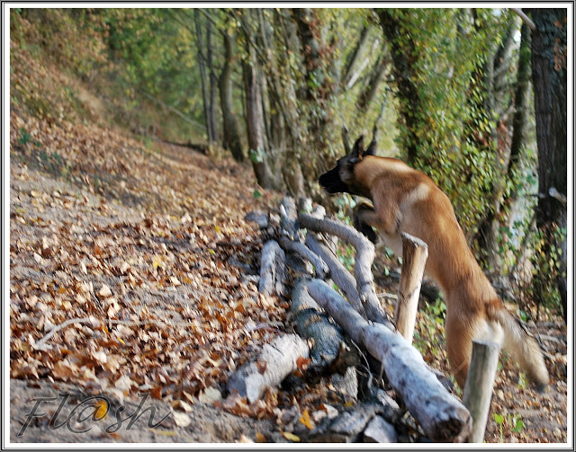 CouK/ Vivky / Reg et les humains ^^ DSC_0374