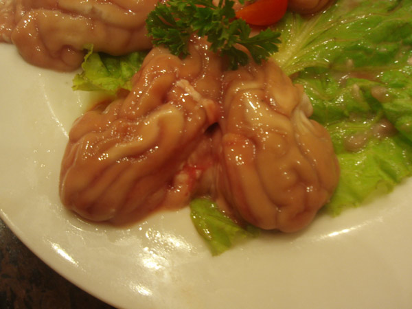 أغرب الأطعمة حول العالم .. Strange Meals of the World Pig-brain