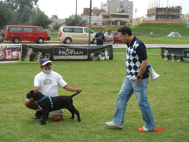 Algunas fotos del 5to match (Clase Cachorros) DSC00912