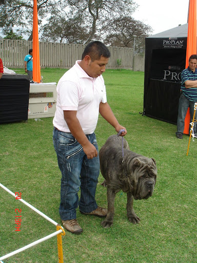 Algunas fotos del 5to match (Clase Cachorros) DSC00994