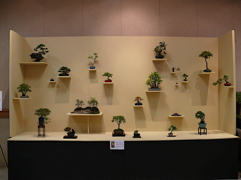 Carolina Bonsai Expo 2010 Pictures P1120937