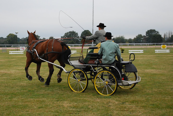 Championnat de France et journées internationales de l'attelage: Lisieux 2009 Dressage%20%2822%29