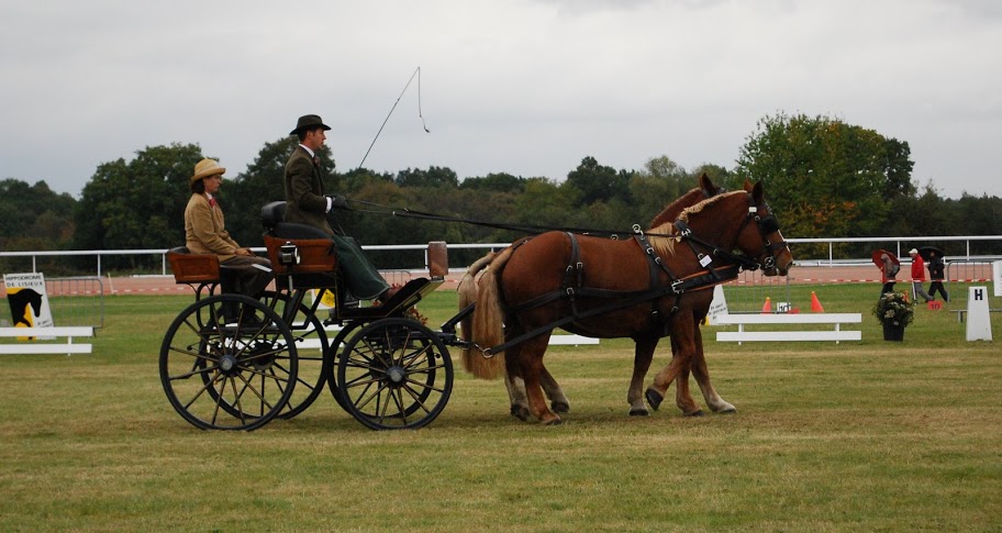 Championnat de France et journées internationales de l'attelage: Lisieux 2009 Dressage%20%2867%29