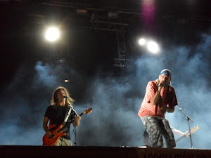 Festival Zaidín Rock 2010 (Hay Festival!!!!!) - Página 9 SAM_0540