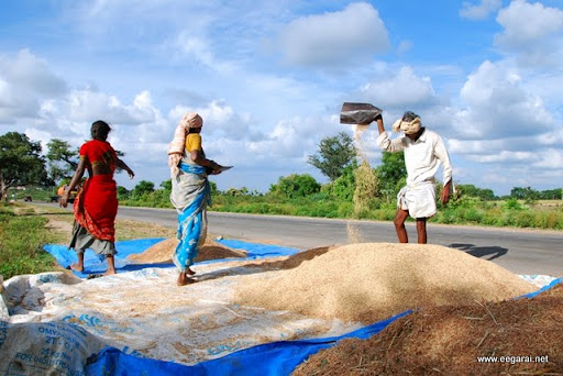 கேரளா - புகைப்படங்கள் 9