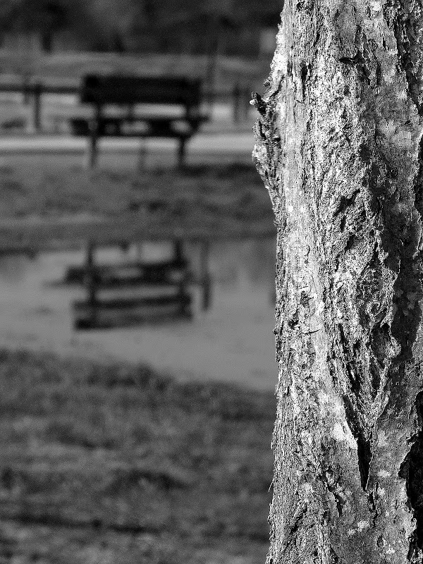 petite  serie noir et blanc BANCnet