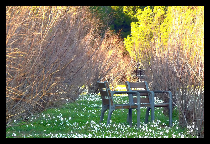 il faut se poser un peu Chaisehdr2_filtered