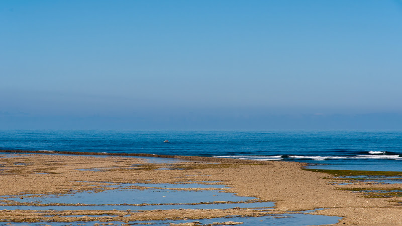 Sortie photo sur Oleron (17) Samedi 07 Aout 2010 à 10h00 - Page 3 20100807_00_pano_01_paysage_ocean