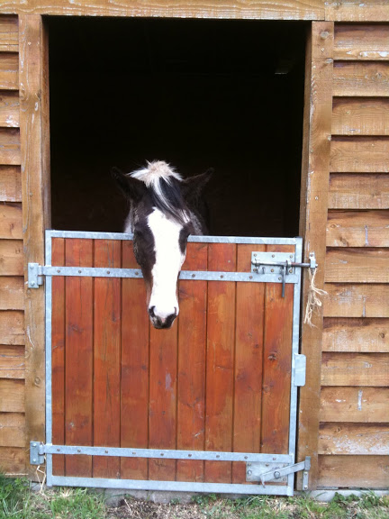 Quand deux copines se retrouvent et mettent leurs chevaux ensemble... IMG_0232