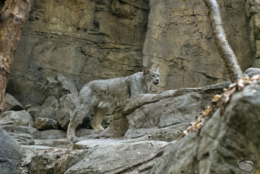 BIODOME 2011/02/01 _SDA0055