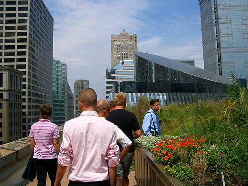 Taman Atap Yang Menakjubkan Dari Berbagai Negara Chicago-roof-garden-11