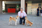 Concursos Caninos - Pgina 3 2009-10-04%20-%20Concurso%20Barcelona%20y%20Montjuic%20021