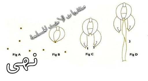 مستلزمات ودروس مكثفة للتطريز بالشرائط Ne1