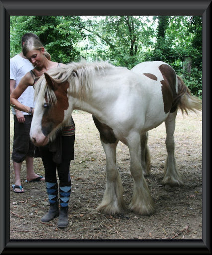 Visite aux Chevaux de Tan! 30