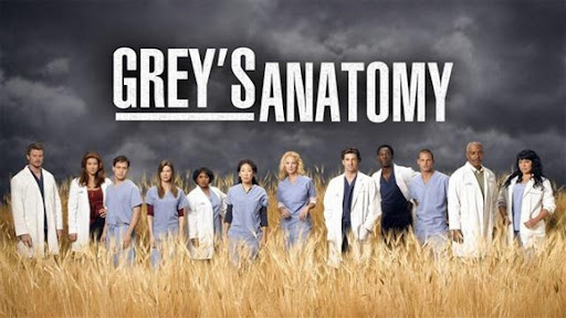 Grey’s Anatomy 6ª Season 3p24kdpihas7zje357wp