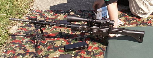 FASS 57 custom sniper .....etc... Vugelles1000m_35