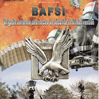 St Michel 2007 - Le CFPSAA devient  la BAFSI StMichelCommandosDeLAir28092007DijonAmicaleEtBAFSI